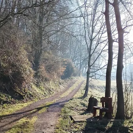 Holiday home Casa El Envero Saro