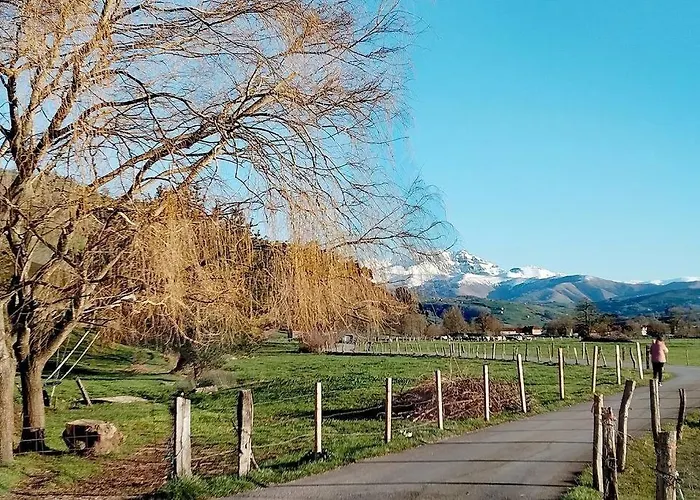 Casa El Envero Feriehus Saro