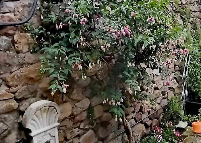 Feriehus Casa El Envero Saro